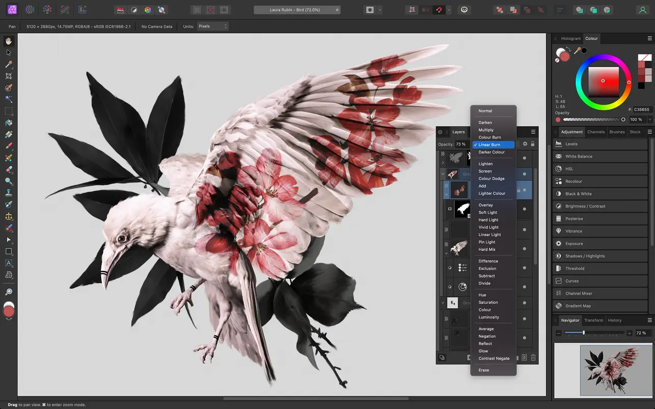 Affinity Photo screenshot 2